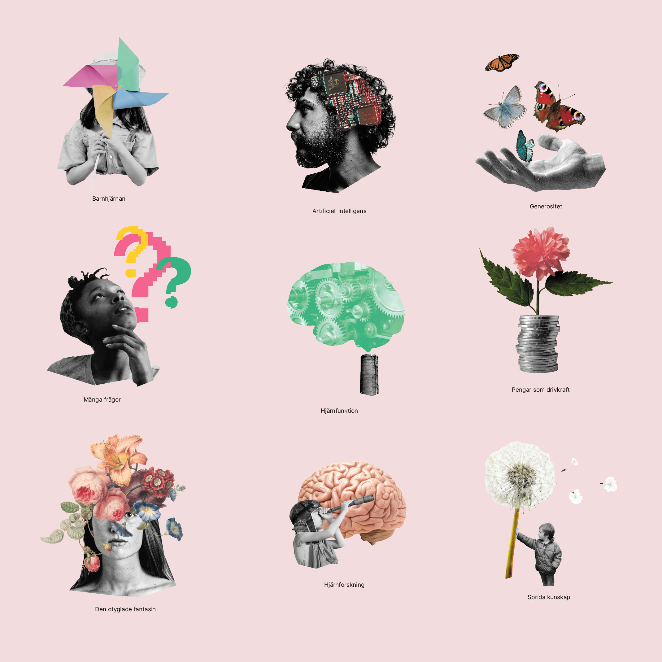 Hjärnfonden illustrationer